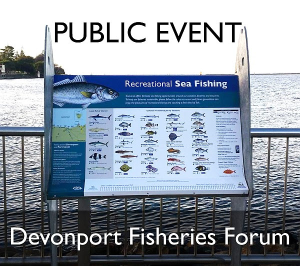 devonport fisheries forum