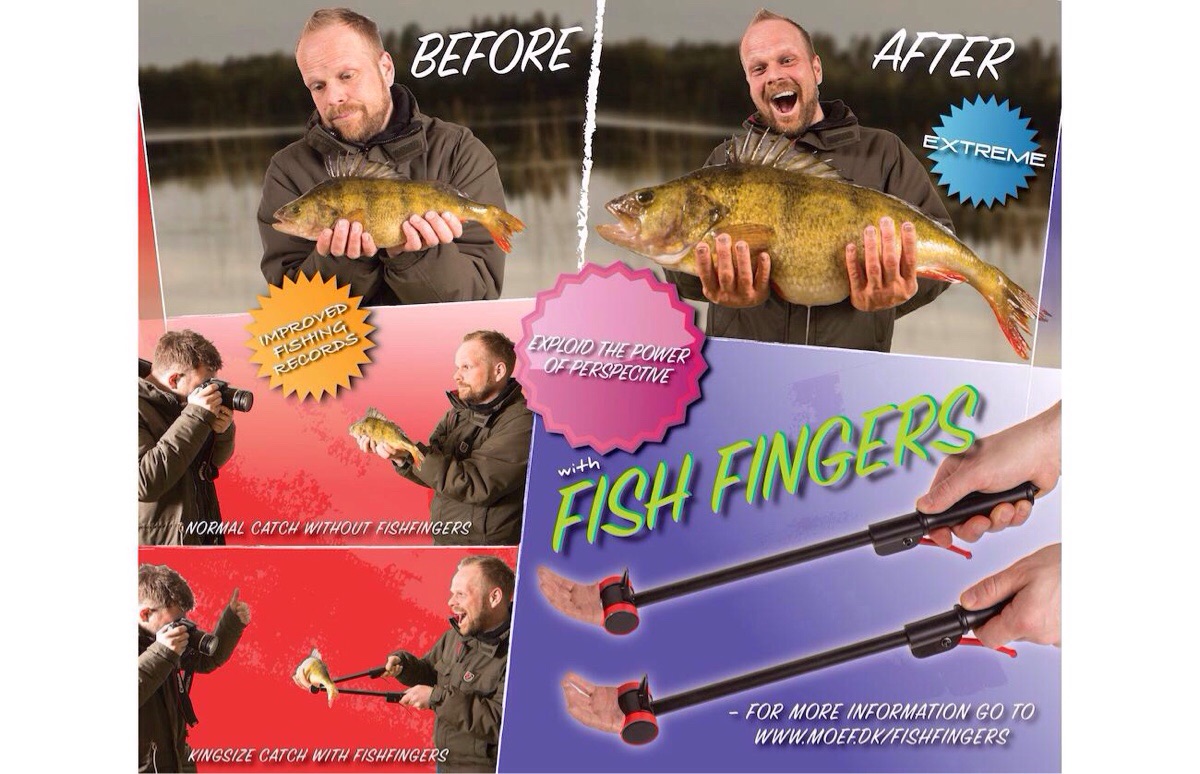 fish-fingers