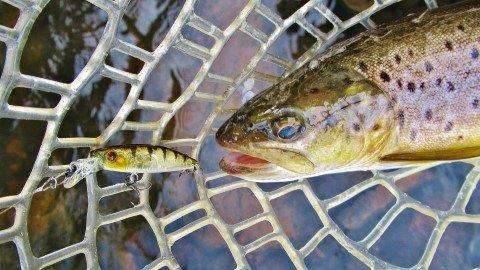 2018 03 18 1 Pontoon21 and Meander River wild brown trout