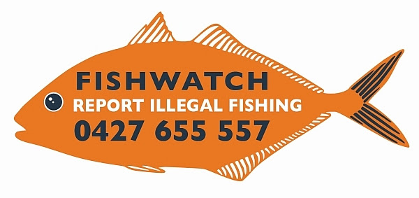 fisheries tas fish watch