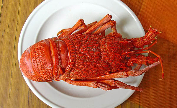 fisheries tas lobster