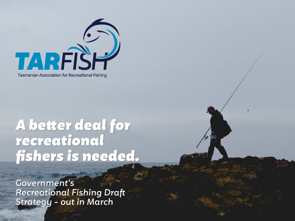 tarfish better deal