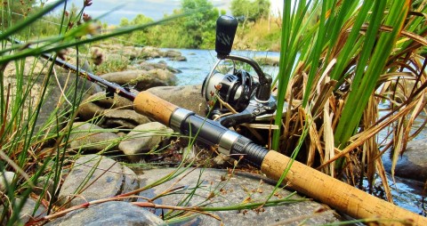 2022 08 01 The perfect trout setup